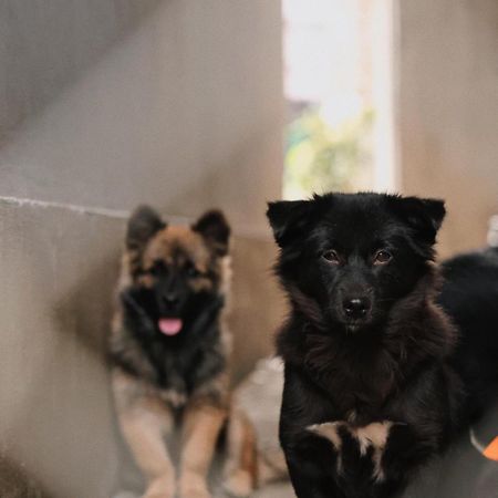 Susu Homestay Hue Thon Kim Long المظهر الخارجي الصورة