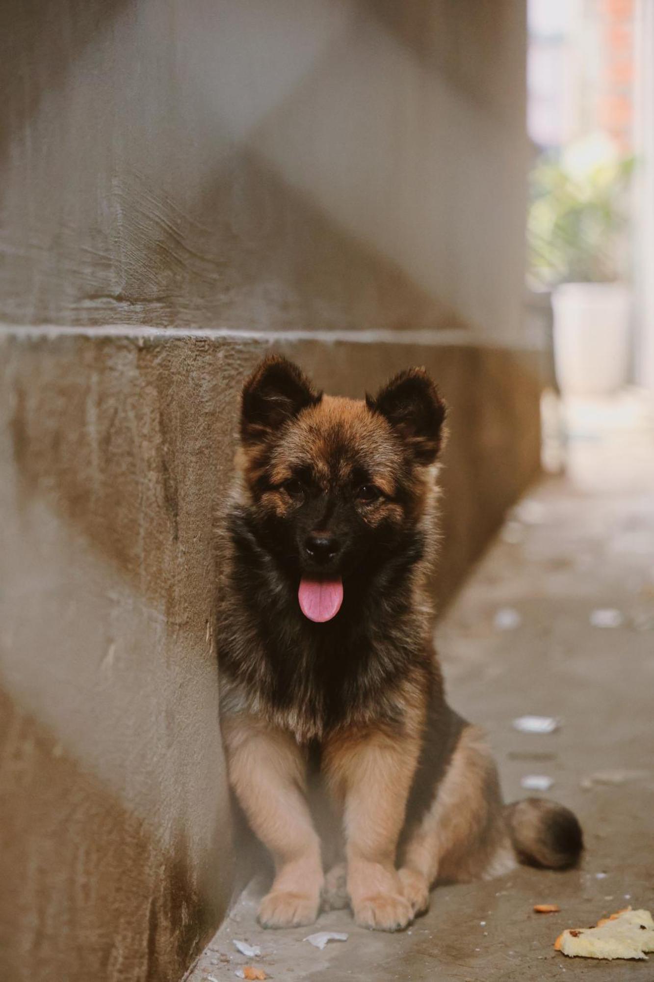 Susu Homestay Hue Thon Kim Long المظهر الخارجي الصورة
